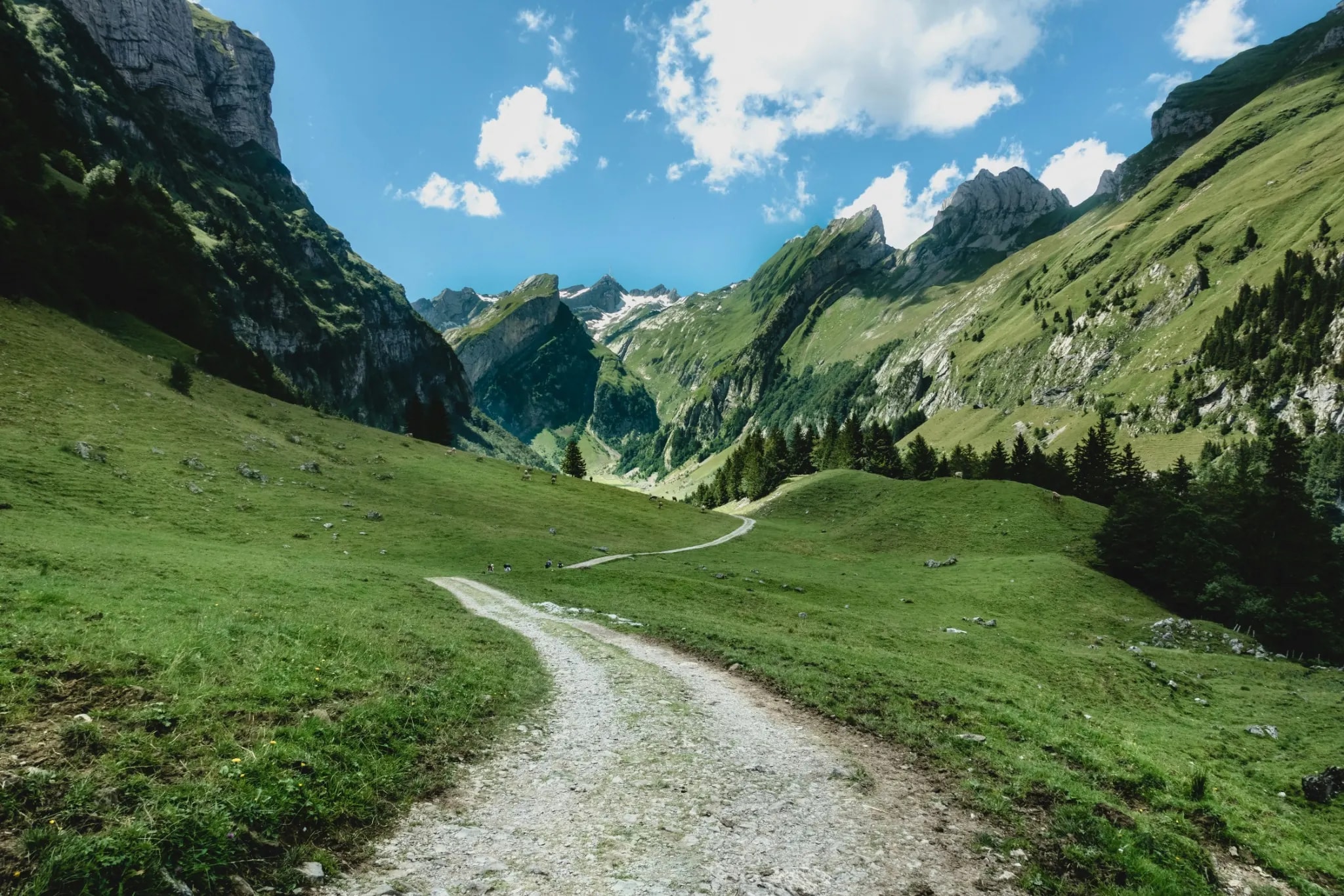 Alpen Weg Fotografie